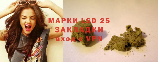 сатива Абинск