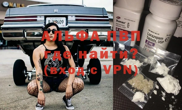 сатива Абинск