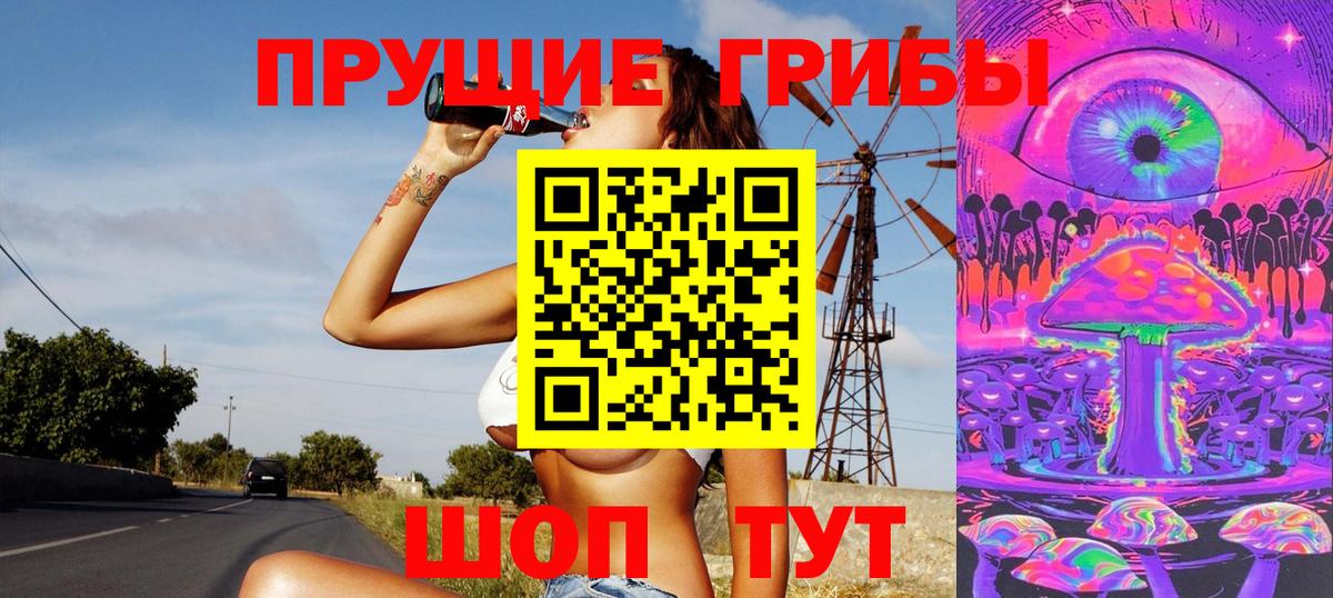 ГАШ Чита
