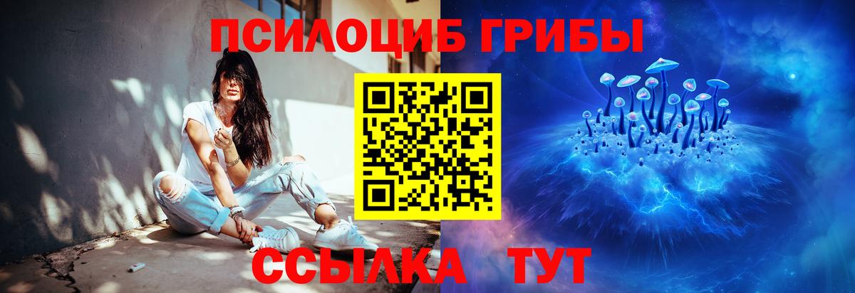 цены   Вход с VPN  Псилоцибиновые грибы Cubensis  Чита  Псилоцибиновые грибы MAGIC MUSHROOMS 
